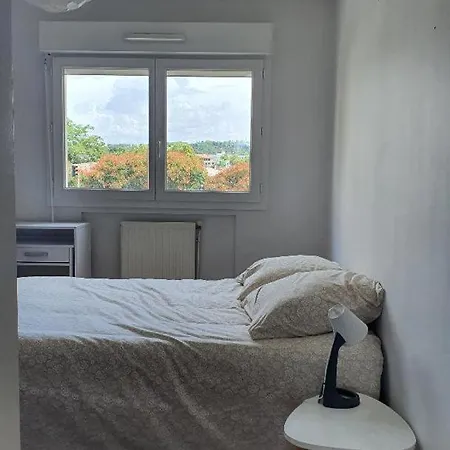 Luminous In A Shared Appt Daire
